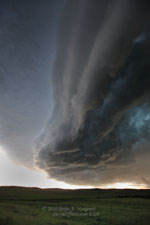 60310-SanteeIndResvNE-Shelf4-225.jpg