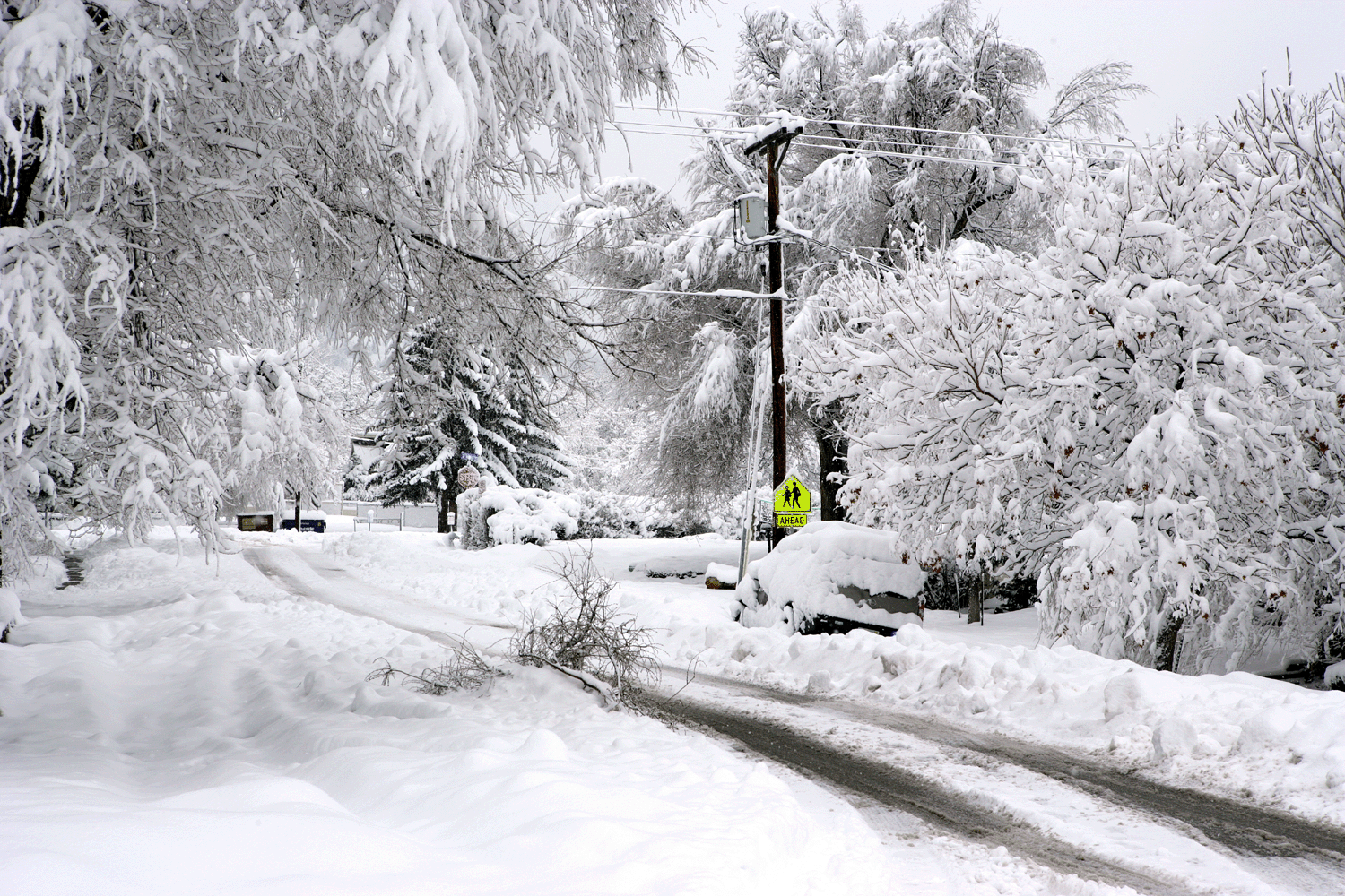 beauincolorado1dec29th2006302s.gif