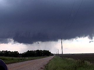 m10meso2.jpg