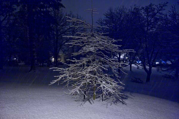 feb12008snow9pma.jpg