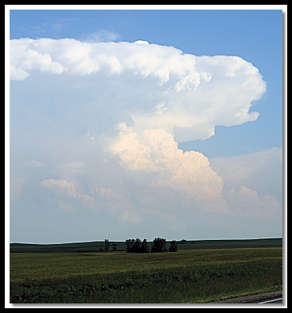 webIMG_0544.jpg