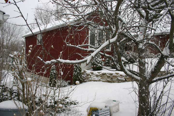 snow122709.jpg