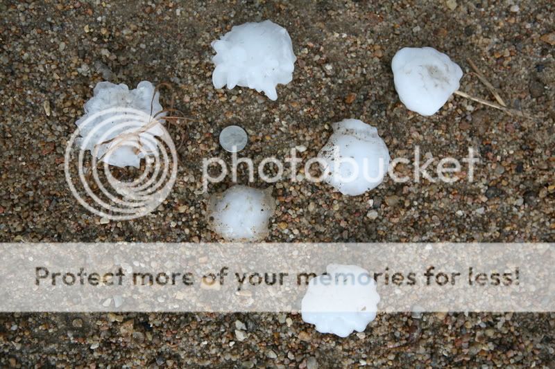 IMG_6095.jpg