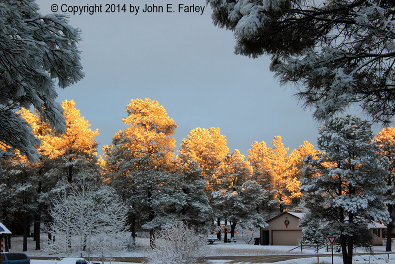 snow121414-2.jpg