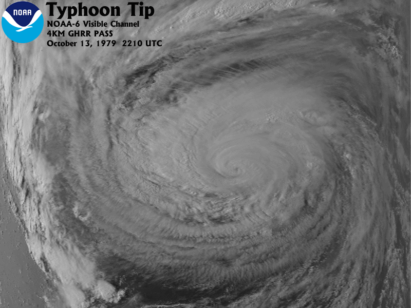 typhoon-tip-19791013-noaa6vis.gif