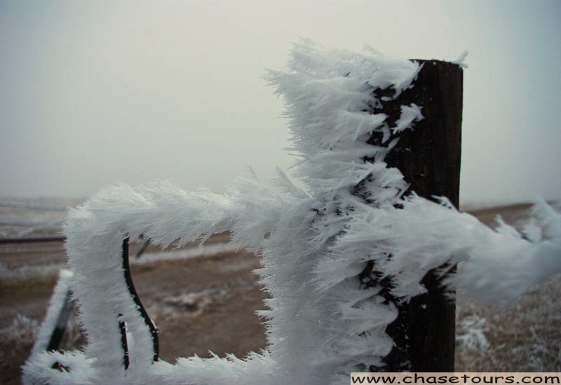 2010_Jan5_8.jpg
