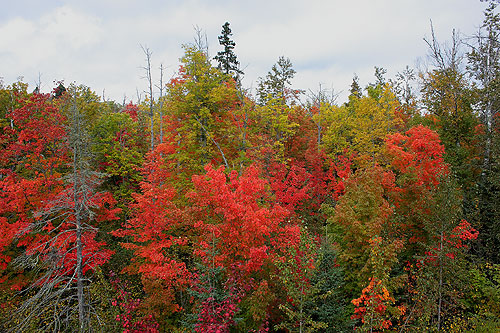 lutsen_colors3.jpg