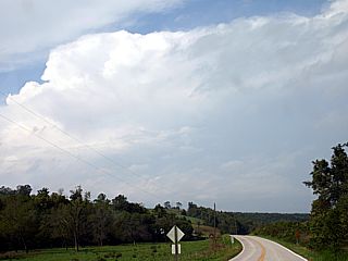 m10ozin.jpg