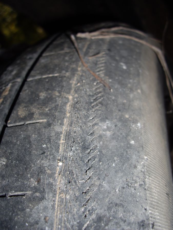 tire1.jpg