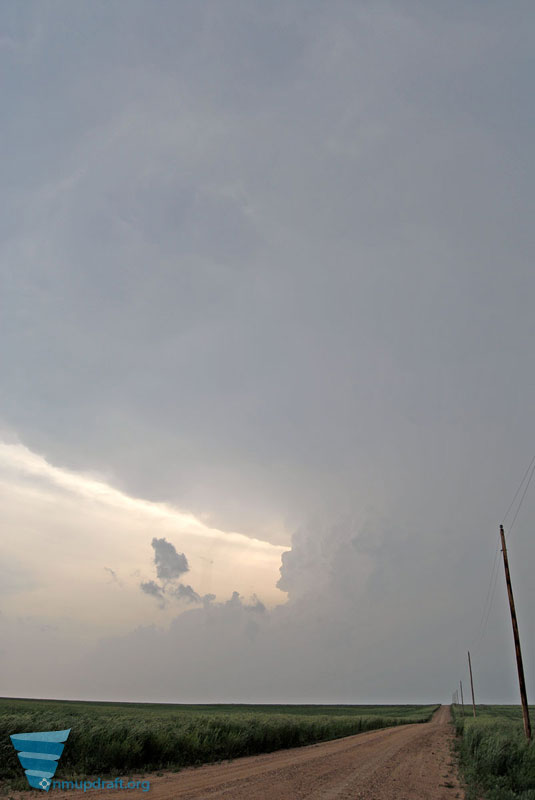 050507buffalo.jpg