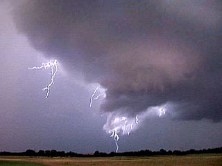 m11cg3.jpg
