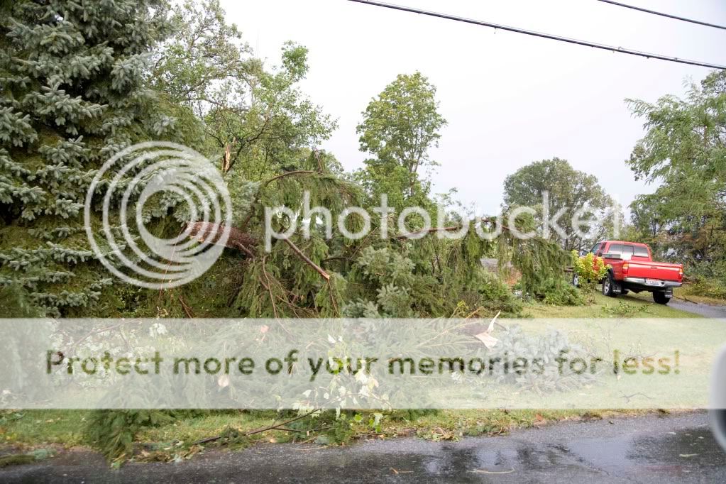 Damage2.jpg