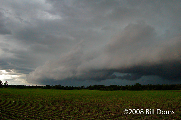 080627web005.jpg