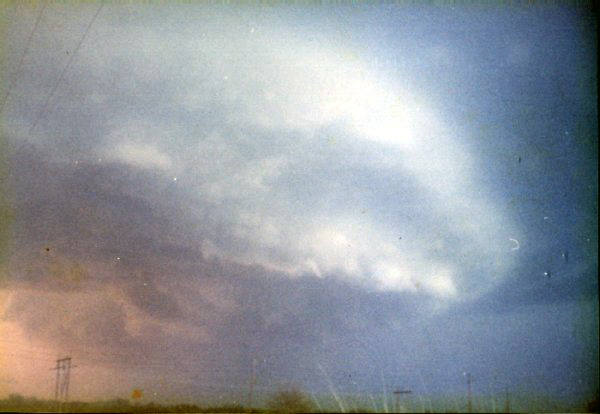 19880328w.jpg