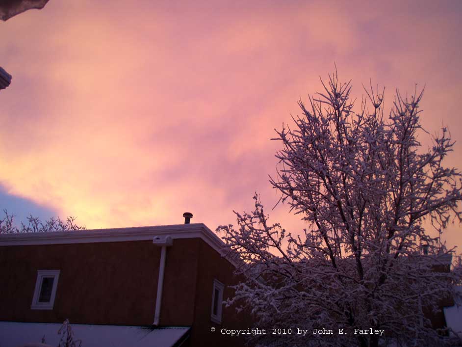 snow20710-1.jpg