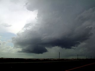 p052409b.jpg