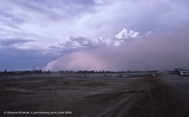 LLHaboob.jpg